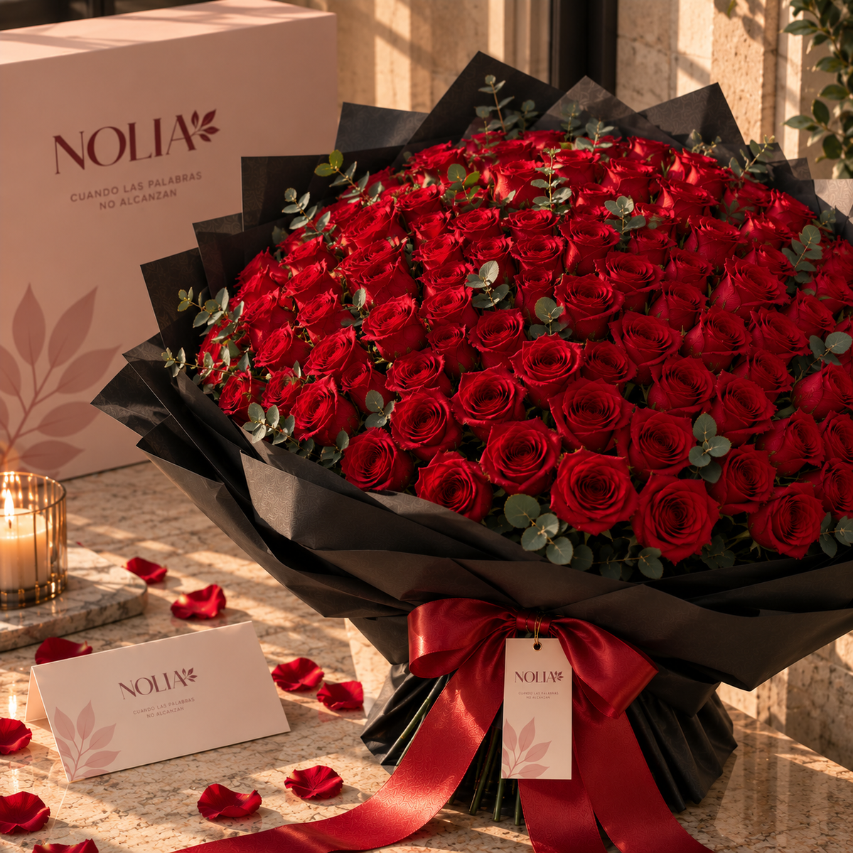Nolia Grand Lover