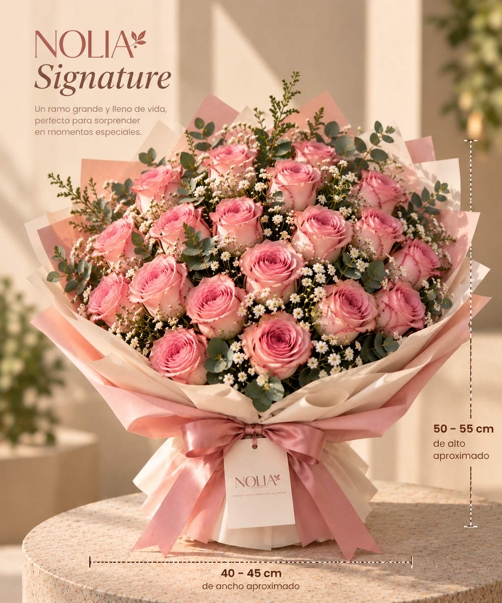 Nolia Signature